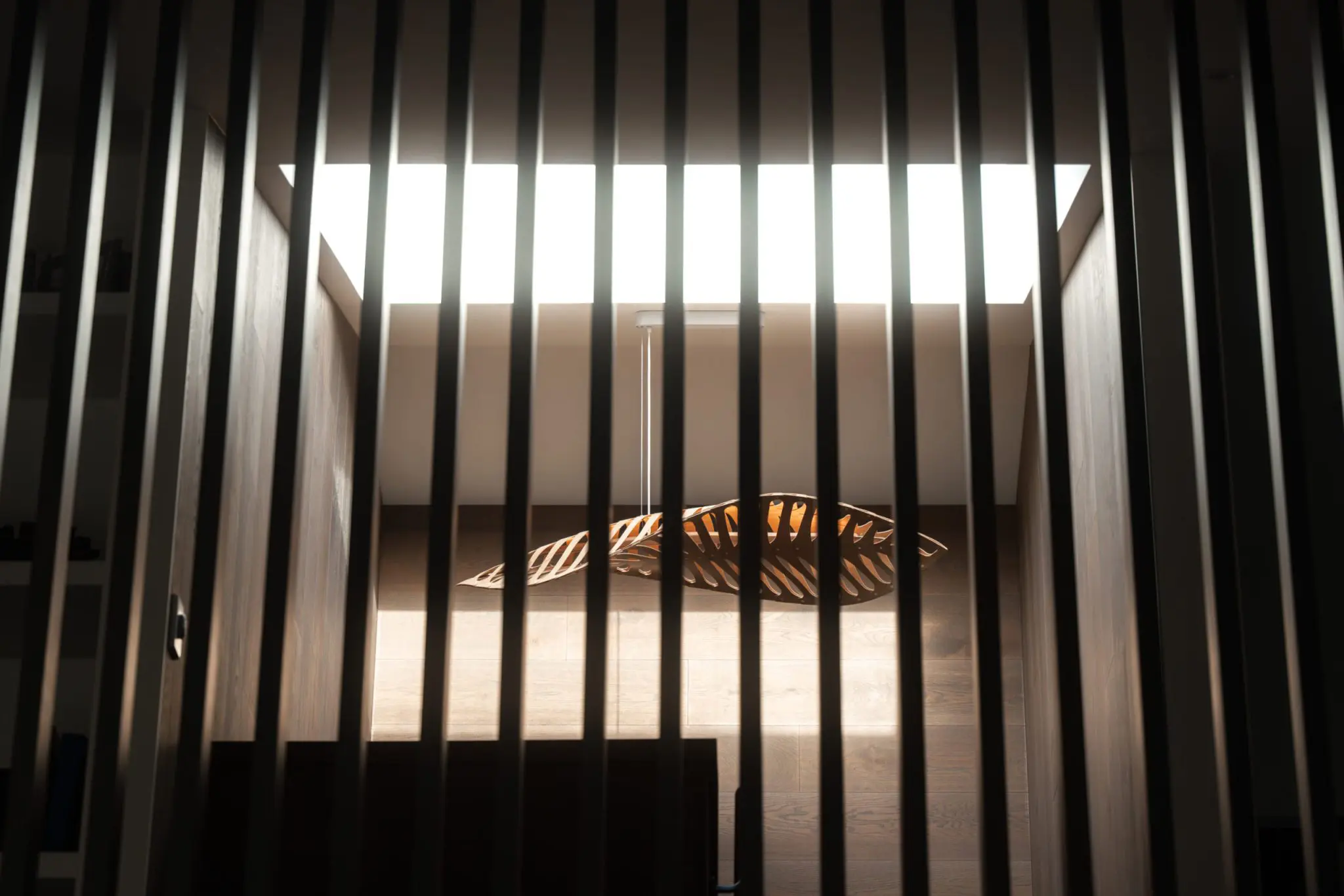 DSC09103-Enhanced-NR